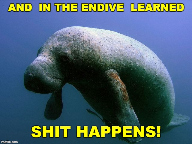 AND  IN THE ENDIVE  LEARNED SHIT HAPPENS! | made w/ Imgflip meme maker