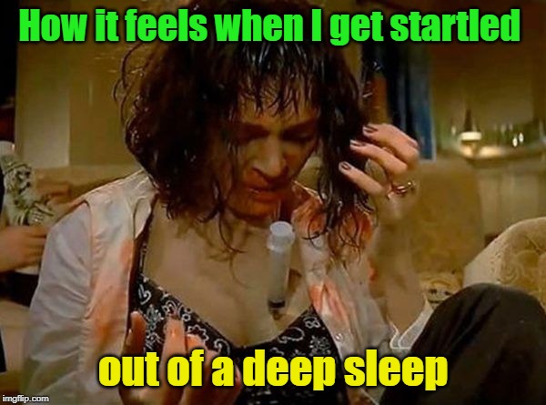 Then I can never get back to sleep! | How it feels when I get startled; out of a deep sleep | image tagged in nixieknox,memes,sleep | made w/ Imgflip meme maker