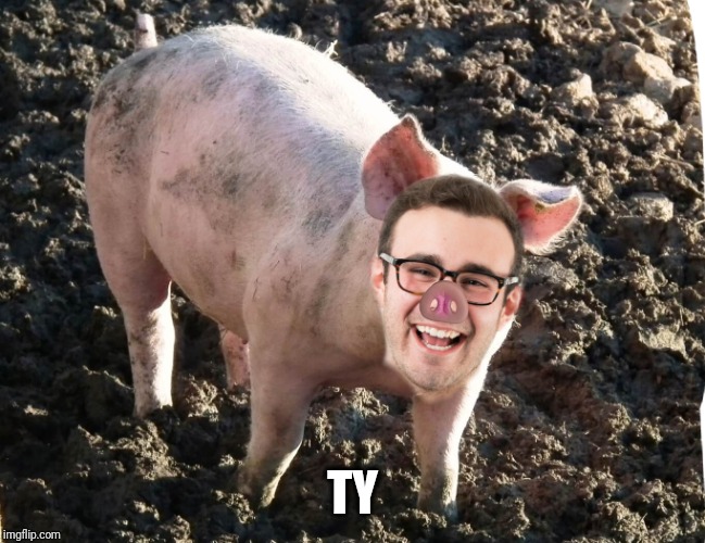 Sexist man pig | TY | image tagged in sexist man pig | made w/ Imgflip meme maker