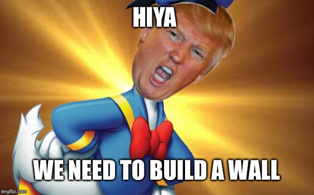 Donald | HIYA; WE NEED TO BUILD A WALL | image tagged in donald | made w/ Imgflip meme maker