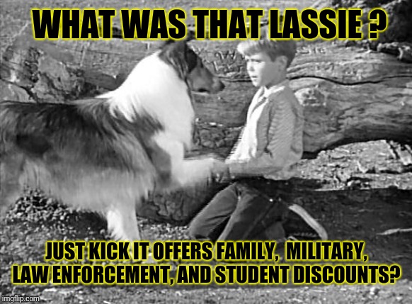 Lassie | WHAT WAS THAT LASSIE ? JUST KICK IT OFFERS FAMILY,  MILITARY, LAW ENFORCEMENT, AND STUDENT DISCOUNTS? | image tagged in lassie,timmy,throwback thursday,mma,boxing,bjj | made w/ Imgflip meme maker