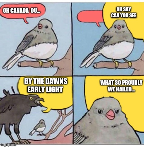 annoyed bird | OH SAY CAN YOU SEE; OH CANADA  OU... BY THE DAWNS EARLY LIGHT; WHAT SO PROUDLY WE HAILED... | image tagged in annoyed bird | made w/ Imgflip meme maker