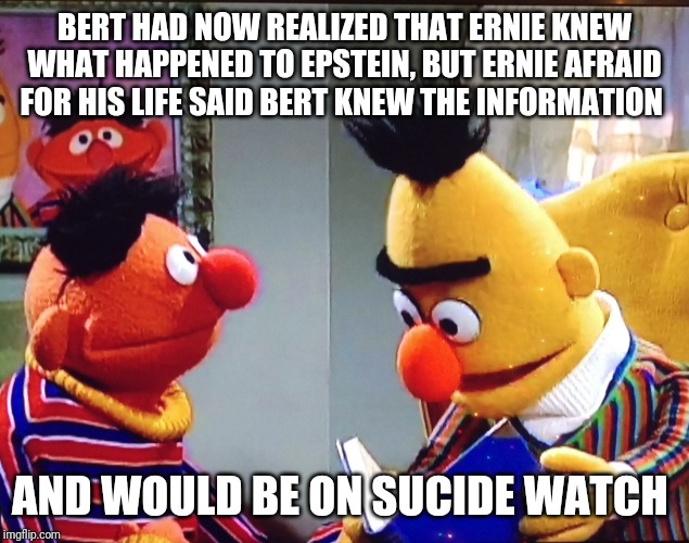 Bert and Ernie | BERT HAD NOW REALIZED THAT ERNIE KNEW WHAT HAPPENED TO EPSTEIN, BUT ERNIE AFRAID FOR HIS LIFE SAID BERT KNEW THE INFORMATION; AND WOULD BE ON SUCIDE WATCH | image tagged in bert and ernie | made w/ Imgflip meme maker