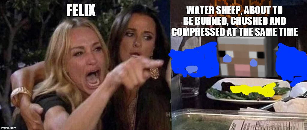 WaT3R sHeEP? | WATER SHEEP, ABOUT TO BE BURNED, CRUSHED AND COMPRESSED AT THE SAME TIME; FELIX | image tagged in woman yelling at cat,pewdiepie | made w/ Imgflip meme maker