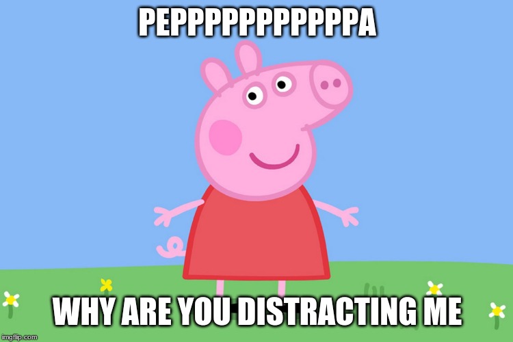 Peppa Pig | PEPPPPPPPPPPPA; WHY ARE YOU DISTRACTING ME | image tagged in peppa pig | made w/ Imgflip meme maker