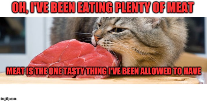 cat eating meat | OH, I'VE BEEN EATING PLENTY OF MEAT MEAT IS THE ONE TASTY THING I'VE BEEN ALLOWED TO HAVE | image tagged in cat eating meat | made w/ Imgflip meme maker