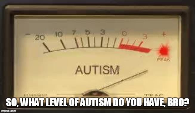 Beyond Autism | SO, WHAT LEVEL OF AUTISM DO YOU HAVE, BRO? | image tagged in beyond autism | made w/ Imgflip meme maker