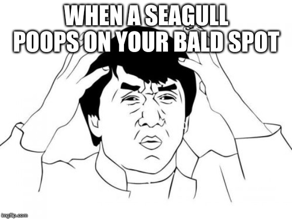 Jackie Chan WTF Meme | WHEN A SEAGULL POOPS ON YOUR BALD SPOT | image tagged in memes,jackie chan wtf | made w/ Imgflip meme maker