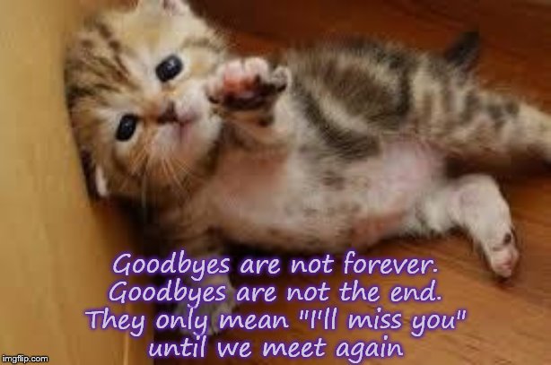 Sad Kitten Goodbye | Goodbyes are not forever.
Goodbyes are not the end.
They only mean "I'll miss you"
until we meet again | image tagged in sad kitten goodbye | made w/ Imgflip meme maker