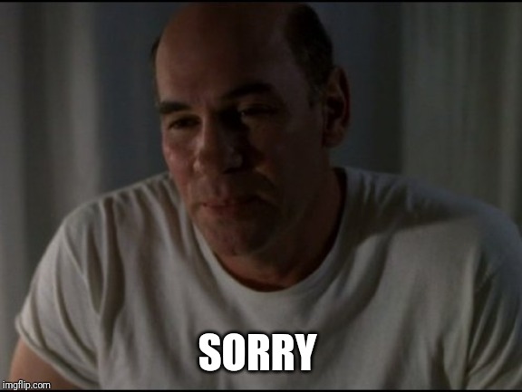 Skinner | SORRY | image tagged in skinner | made w/ Imgflip meme maker