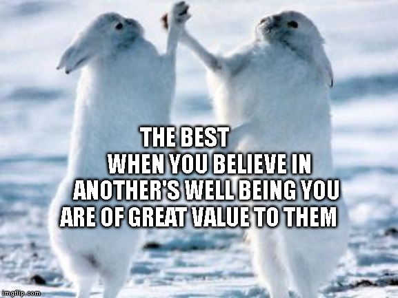 Best friends | THE BEST             WHEN YOU BELIEVE IN ANOTHER'S WELL BEING YOU ARE OF GREAT VALUE TO THEM | image tagged in best friends | made w/ Imgflip meme maker