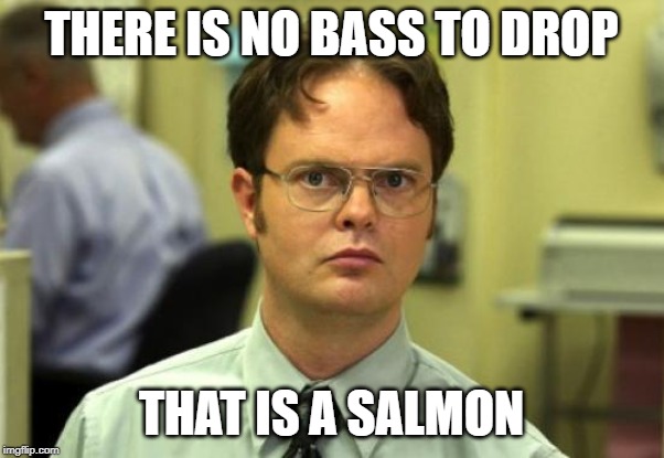 Dwight Schrute Meme | THERE IS NO BASS TO DROP THAT IS A SALMON | image tagged in memes,dwight schrute | made w/ Imgflip meme maker