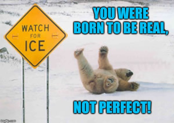 Iced Bear | YOU WERE BORN TO BE REAL, NOT PERFECT! | image tagged in humor | made w/ Imgflip meme maker