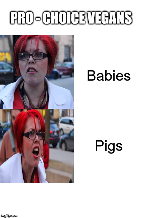 Drake Hotline Bling Meme | PRO - CHOICE VEGANS; Babies; Pigs | image tagged in memes,drake hotline bling | made w/ Imgflip meme maker