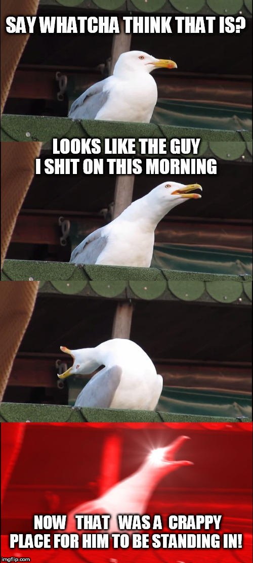 WOW! THAT SUCKS! | SAY WHATCHA THINK THAT IS? LOOKS LIKE THE GUY I SHIT ON THIS MORNING; NOW   THAT   WAS A  CRAPPY PLACE FOR HIM TO BE STANDING IN! | image tagged in memes,inhaling seagull,took a bird dump on me,dump seagull | made w/ Imgflip meme maker