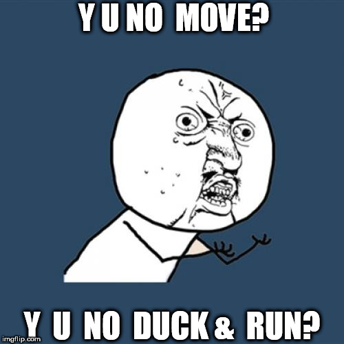 Y U No Meme | Y U NO  MOVE? Y  U  NO  DUCK &  RUN? | image tagged in memes,y u no | made w/ Imgflip meme maker