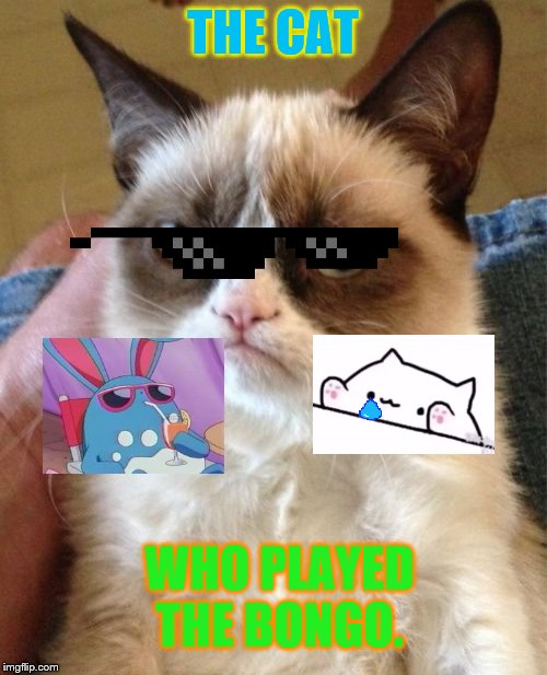Grumpy Cat Meme | THE CAT; WHO PLAYED THE BONGO. | image tagged in memes,grumpy cat | made w/ Imgflip meme maker