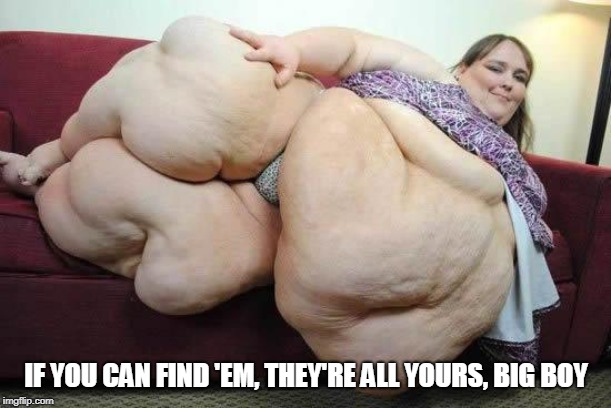 fat girl | IF YOU CAN FIND 'EM, THEY'RE ALL YOURS, BIG BOY | image tagged in fat girl | made w/ Imgflip meme maker
