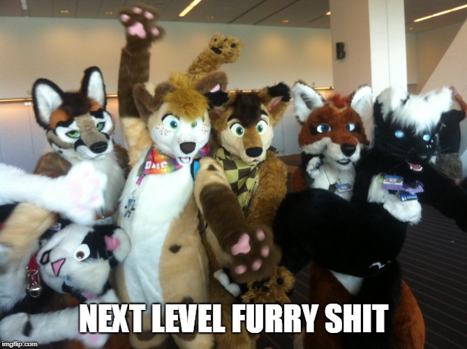 Furries | NEXT LEVEL FURRY SHIT | image tagged in furries | made w/ Imgflip meme maker