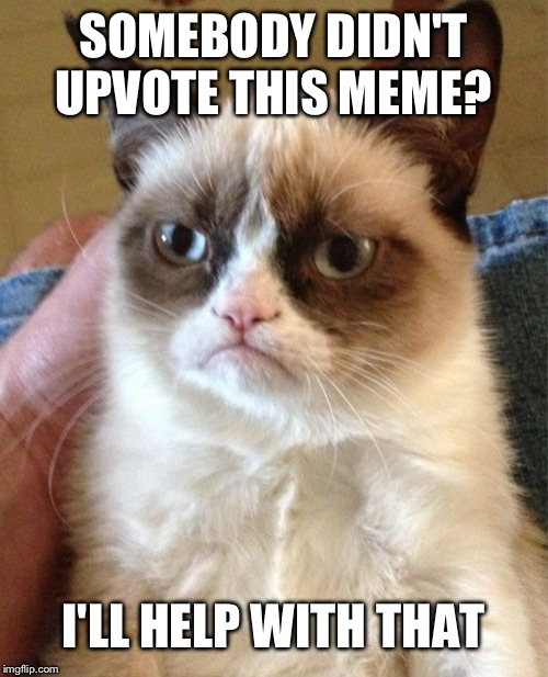 Grumpy Cat | SOMEBODY DIDN'T UPVOTE THIS MEME? I'LL HELP WITH THAT | image tagged in memes,grumpy cat | made w/ Imgflip meme maker