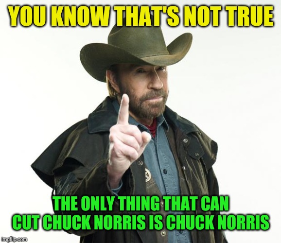 Chuck Norris Finger Meme | YOU KNOW THAT'S NOT TRUE THE ONLY THING THAT CAN CUT CHUCK NORRIS IS CHUCK NORRIS | image tagged in memes,chuck norris finger,chuck norris | made w/ Imgflip meme maker