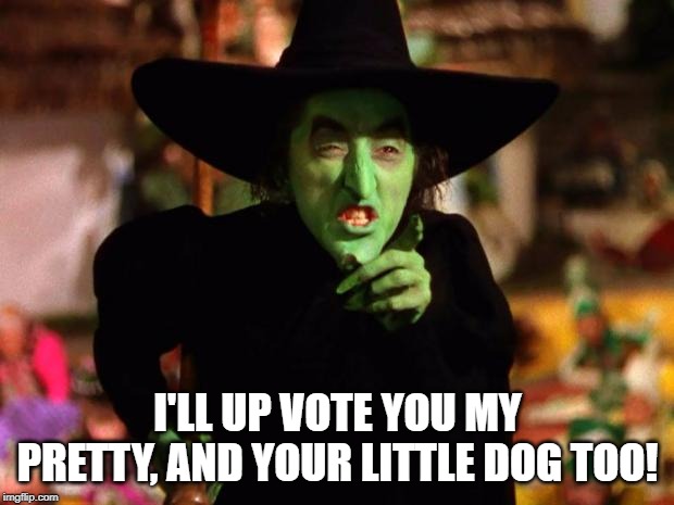 The Wicked Which (The Wizard of Oz) | I'LL UP VOTE YOU MY PRETTY, AND YOUR LITTLE DOG TOO! | image tagged in the wicked which the wizard of oz | made w/ Imgflip meme maker