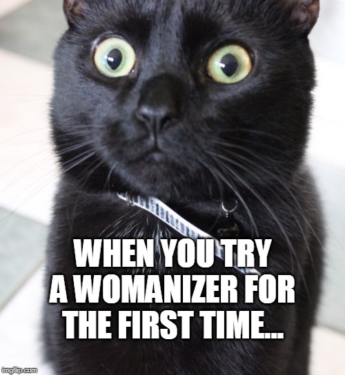 Woah Kitty Meme | WHEN YOU TRY A WOMANIZER FOR THE FIRST TIME... | image tagged in memes,woah kitty | made w/ Imgflip meme maker