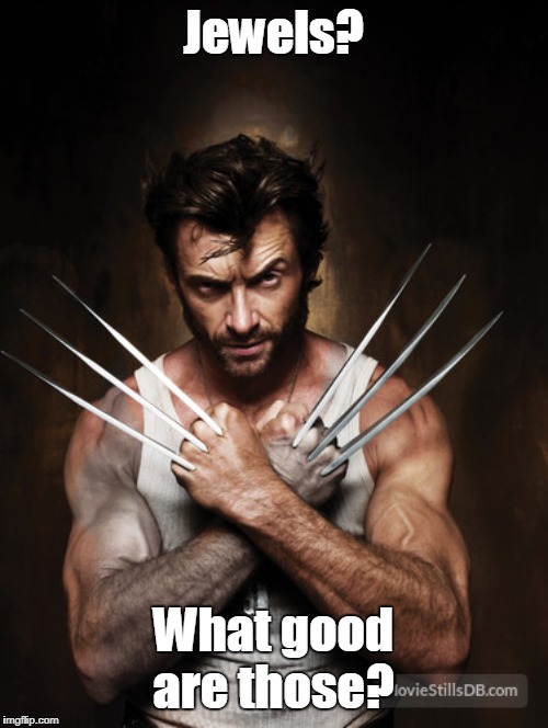 Wolverine | Jewels? What good are those? | image tagged in wolverine | made w/ Imgflip meme maker