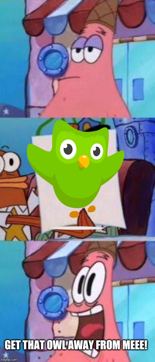 Scared Patrick | GET THAT OWL AWAY FROM MEEE! | image tagged in scared patrick | made w/ Imgflip meme maker