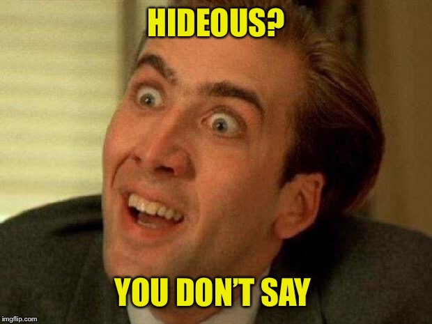 Nicolas cage | HIDEOUS? YOU DON’T SAY | image tagged in nicolas cage | made w/ Imgflip meme maker