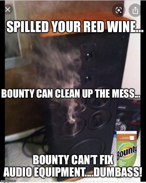 Bounty can clean up messes.... | SPILLED YOUR RED WINE... BOUNTY CAN CLEAN UP THE MESS... BOUNTY CAN’T FIX AUDIO EQUIPMENT....DUMBASS! | image tagged in bounty can clean up messes | made w/ Imgflip meme maker