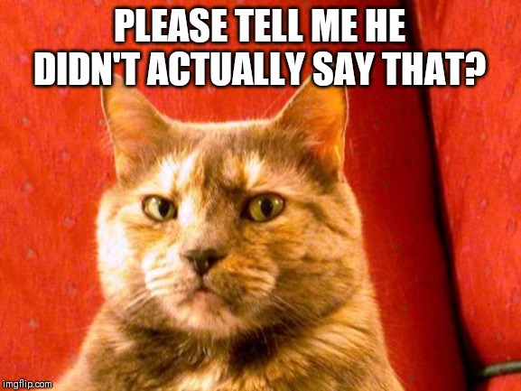 Suspicious Cat Meme | PLEASE TELL ME HE DIDN'T ACTUALLY SAY THAT? | image tagged in memes,suspicious cat | made w/ Imgflip meme maker