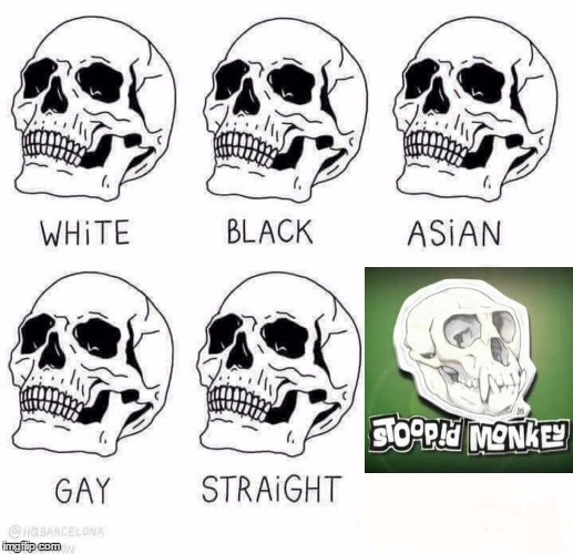 Stoop!d Monkey Skull | image tagged in retarded caveman skulls,skull,stupid monkey,monkey,idiot skull | made w/ Imgflip meme maker