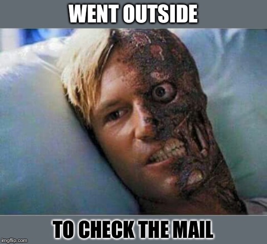 Hot as hell outside | WENT OUTSIDE; TO CHECK THE MAIL | image tagged in melt face,hot,weather,too hot,funny | made w/ Imgflip meme maker