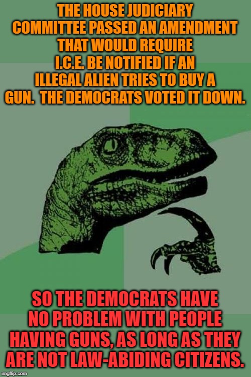 I will never understand the logic of the Democrats. | THE HOUSE JUDICIARY COMMITTEE PASSED AN AMENDMENT THAT WOULD REQUIRE I.C.E. BE NOTIFIED IF AN ILLEGAL ALIEN TRIES TO BUY A GUN.  THE DEMOCRATS VOTED IT DOWN. SO THE DEMOCRATS HAVE NO PROBLEM WITH PEOPLE HAVING GUNS, AS LONG AS THEY ARE NOT LAW-ABIDING CITIZENS. | image tagged in memes,philosoraptor | made w/ Imgflip meme maker