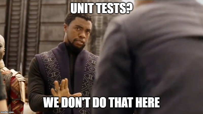  UNIT TESTS? WE DON'T DO THAT HERE | image tagged in black panther | made w/ Imgflip meme maker