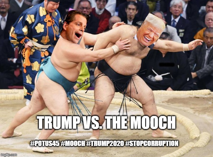 Sumo Fight Night -THE DON vs. The Mooch - it's going to be biblical! | WWG1WGA; TRUMP VS. THE MOOCH; #POTUS45 #MOOCH #TRUMP2020 #STOPCORRUPTION | image tagged in sumo,sumo wrestlers,the mooch,the donald | made w/ Imgflip meme maker