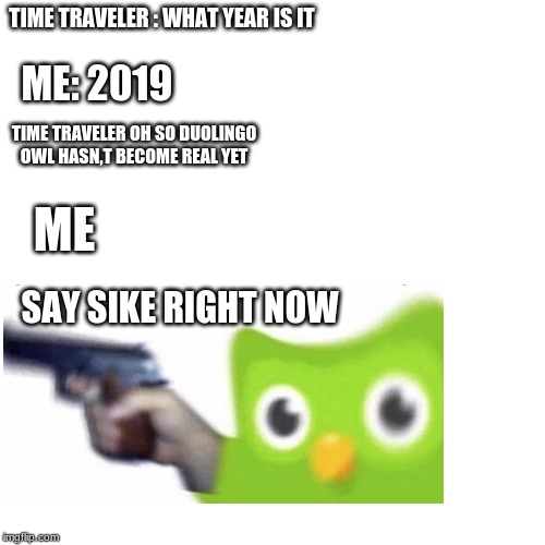 Blank Transparent Square | TIME TRAVELER : WHAT YEAR IS IT; ME: 2019; TIME TRAVELER OH SO DUOLINGO OWL HASN,T BECOME REAL YET; ME; SAY SIKE RIGHT NOW | image tagged in memes,blank transparent square | made w/ Imgflip meme maker