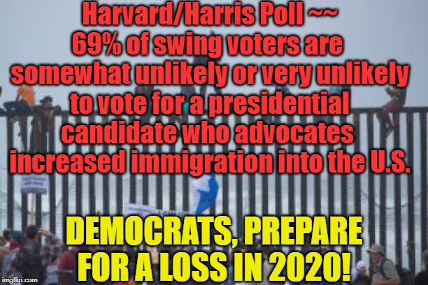 Swing voters choose common sense candidate in poll... | Harvard/Harris Poll ~~ 69% of swing voters are 
somewhat unlikely or very unlikely to vote for a presidential candidate who advocates  increased immigration into the U.S. DEMOCRATS, PREPARE FOR A LOSS IN 2020! | image tagged in politics,political meme,political | made w/ Imgflip meme maker