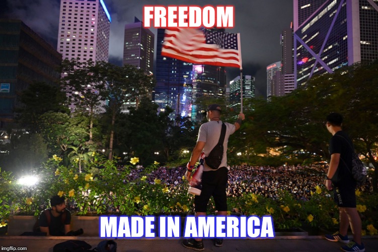 Welcome to Hong Kong | FREEDOM; MADE IN AMERICA | image tagged in welcome to hong kong | made w/ Imgflip meme maker