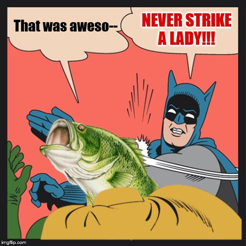 That was aweso-- NEVER STRIKE A LADY!!! | made w/ Imgflip meme maker