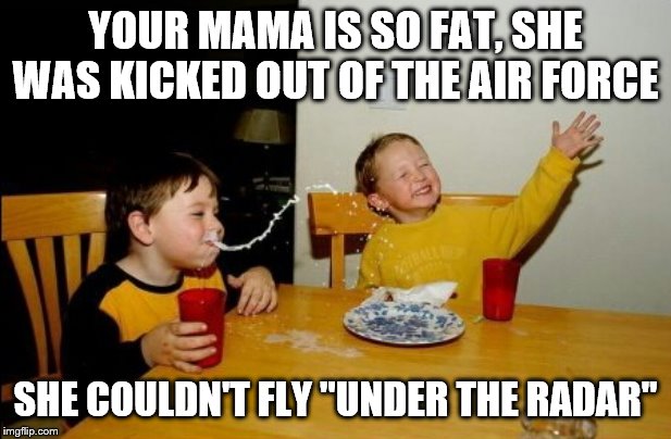 Yo Mamas So Fat Meme | YOUR MAMA IS SO FAT, SHE WAS KICKED OUT OF THE AIR FORCE; SHE COULDN'T FLY "UNDER THE RADAR" | image tagged in memes,yo mamas so fat | made w/ Imgflip meme maker