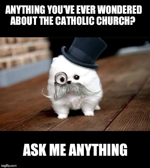 If You Ask Me (Dog) | ANYTHING YOU'VE EVER WONDERED ABOUT THE CATHOLIC CHURCH? ASK ME ANYTHING | image tagged in if you ask me dog | made w/ Imgflip meme maker