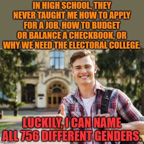 One of America's biggest problems is our "Lack of Education System". | IN HIGH SCHOOL, THEY NEVER TAUGHT ME HOW TO APPLY FOR A JOB, HOW TO BUDGET OR BALANCE A CHECKBOOK, OR WHY WE NEED THE ELECTORAL COLLEGE. LUCKILY, I CAN NAME ALL 756 DIFFERENT GENDERS. | image tagged in college student | made w/ Imgflip meme maker