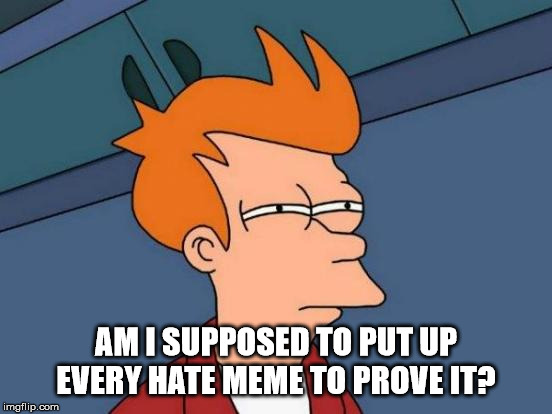 Futurama Fry Meme | AM I SUPPOSED TO PUT UP EVERY HATE MEME TO PROVE IT? | image tagged in memes,futurama fry | made w/ Imgflip meme maker