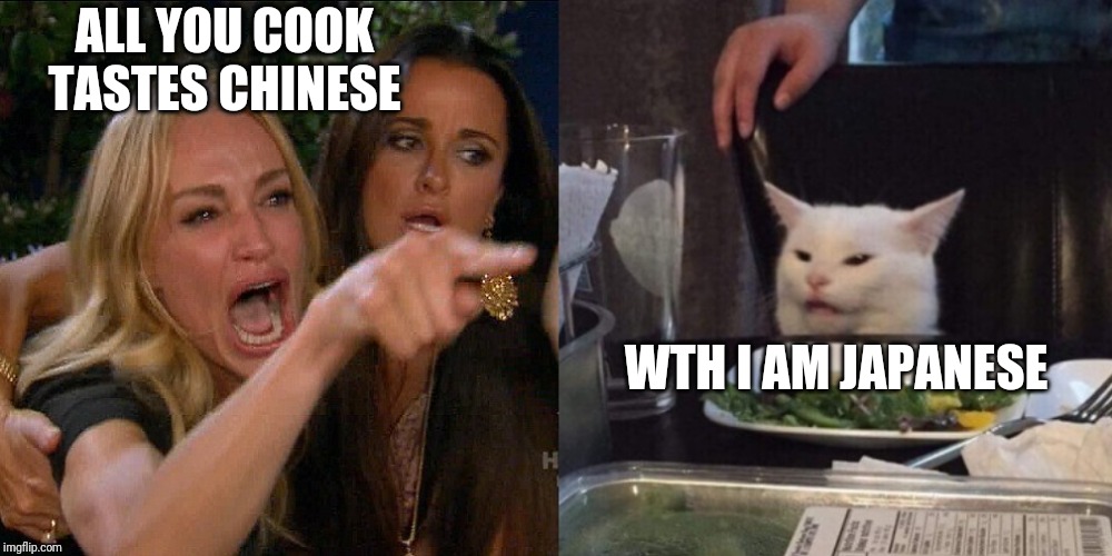 Woman yelling at cat | ALL YOU COOK TASTES CHINESE WTH I AM JAPANESE | image tagged in woman yelling at cat | made w/ Imgflip meme maker