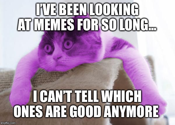 RayCat Stare | I’VE BEEN LOOKING AT MEMES FOR SO LONG... I CAN’T TELL WHICH ONES ARE GOOD ANYMORE | image tagged in raycat stare | made w/ Imgflip meme maker