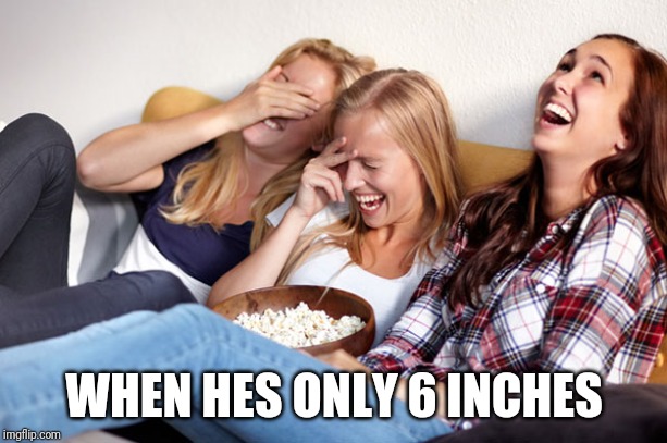 Women laughing | WHEN HES ONLY 6 INCHES | image tagged in women laughing | made w/ Imgflip meme maker