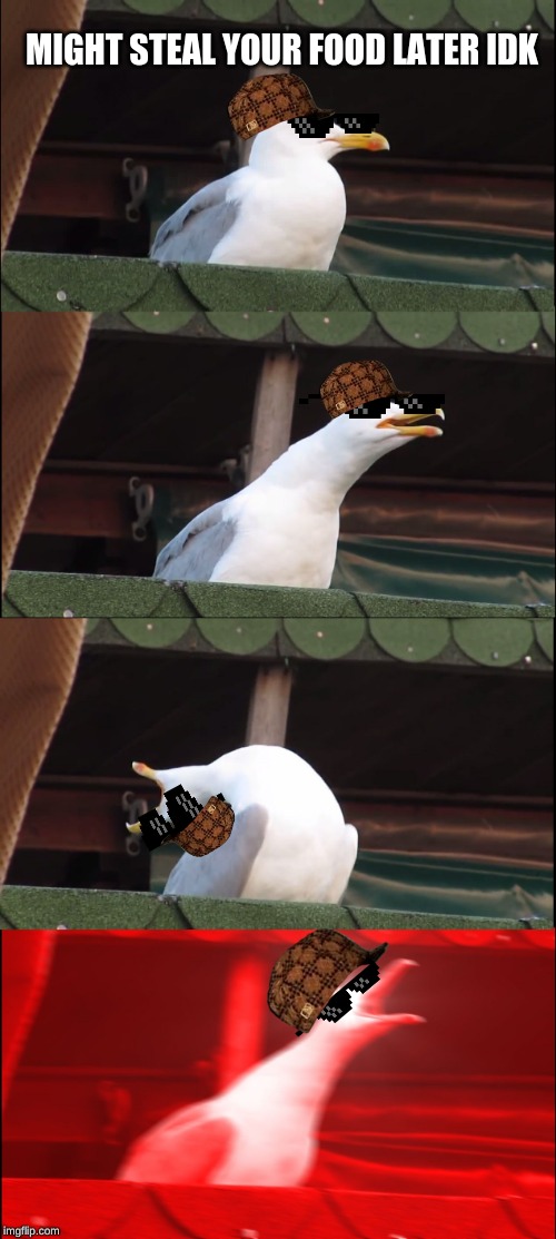 Inhaling Seagull Meme | MIGHT STEAL YOUR FOOD LATER IDK | image tagged in memes,inhaling seagull | made w/ Imgflip meme maker