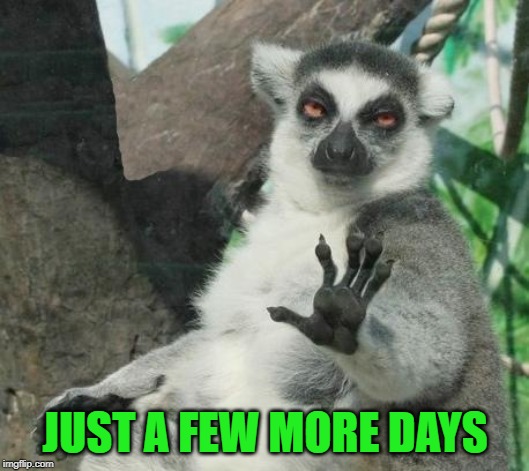 Stoner Lemur Meme | JUST A FEW MORE DAYS | image tagged in memes,stoner lemur | made w/ Imgflip meme maker